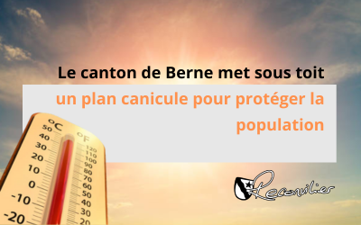 Infolettre : canicule 2024